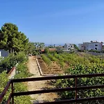 Lagioia 1 فيلة باري